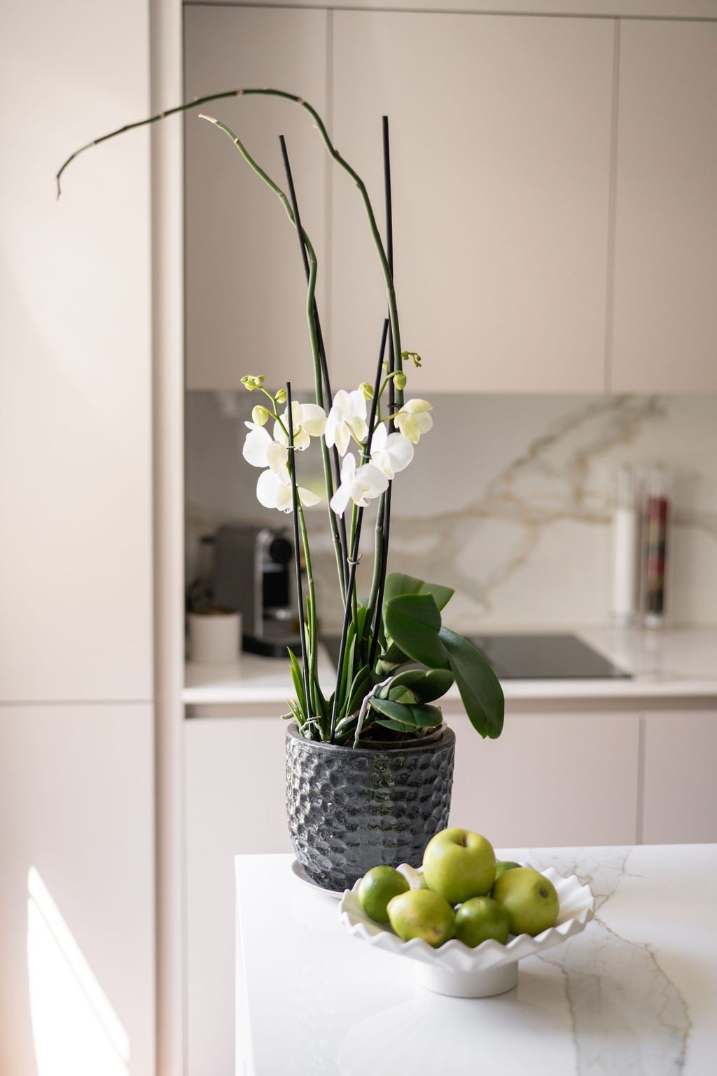 Auf einer hellen Marmorplatte stehen weisse Orchideen in einem schwarzen Topf und grüne Äpfel in einer weissen Schale.
