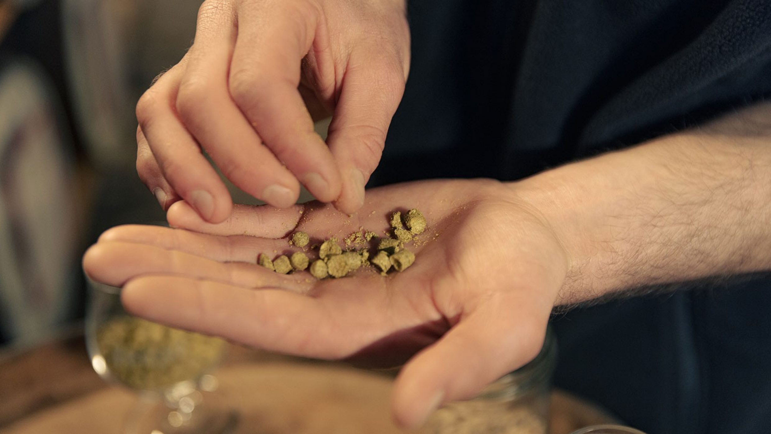 Mit Hopfen würzt der Brauer sein Bier. Sie bringen die edle Bittere und verschiedene Aromen. Getrocknete und gepresste Hopfenblüten werden zu Pellets verarbeitet und anschliessend luftdicht und damit aromasicher verpackt.