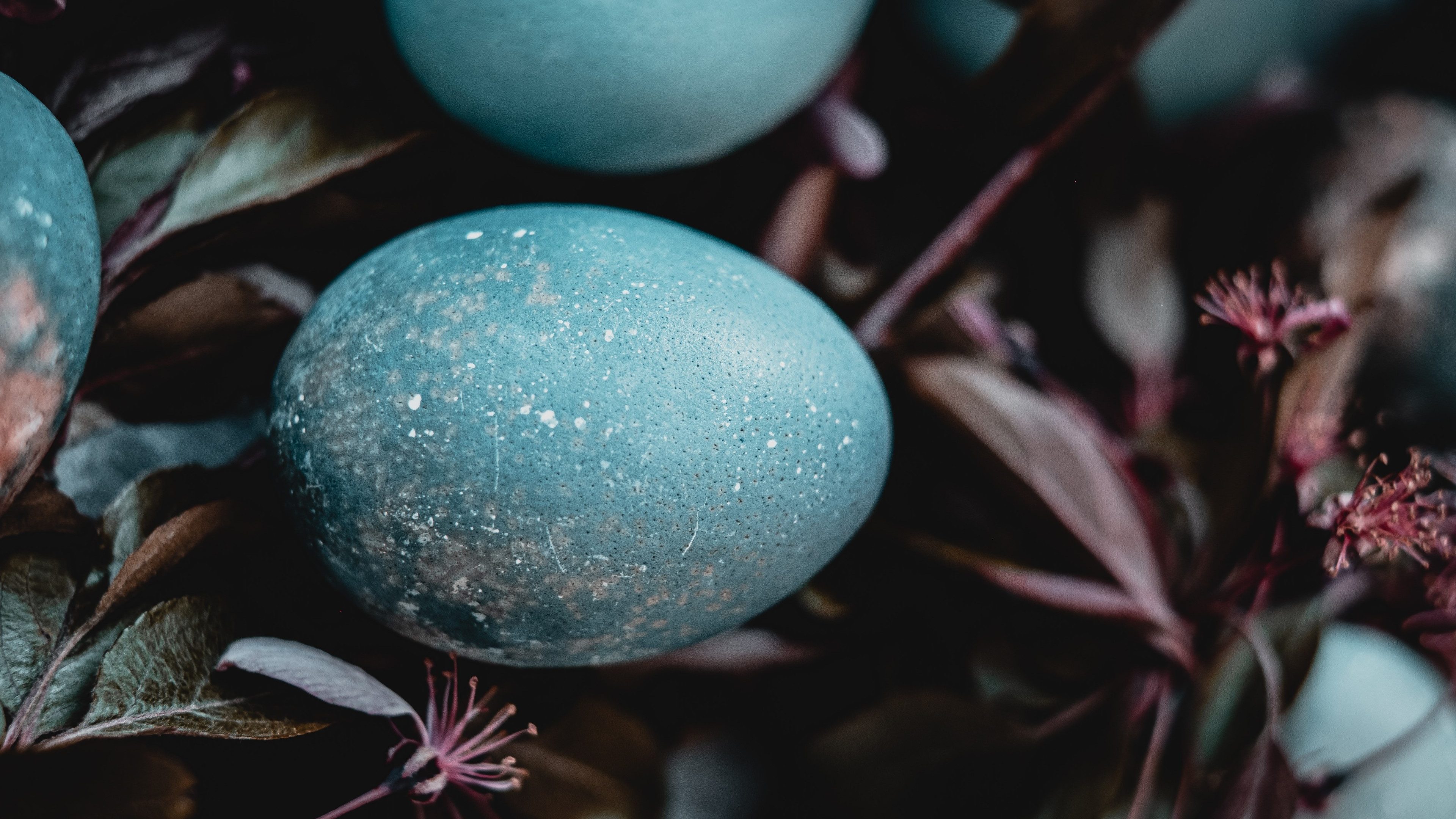 Blau gefärbte Ostereier liegen auf einem Blumenstrauss