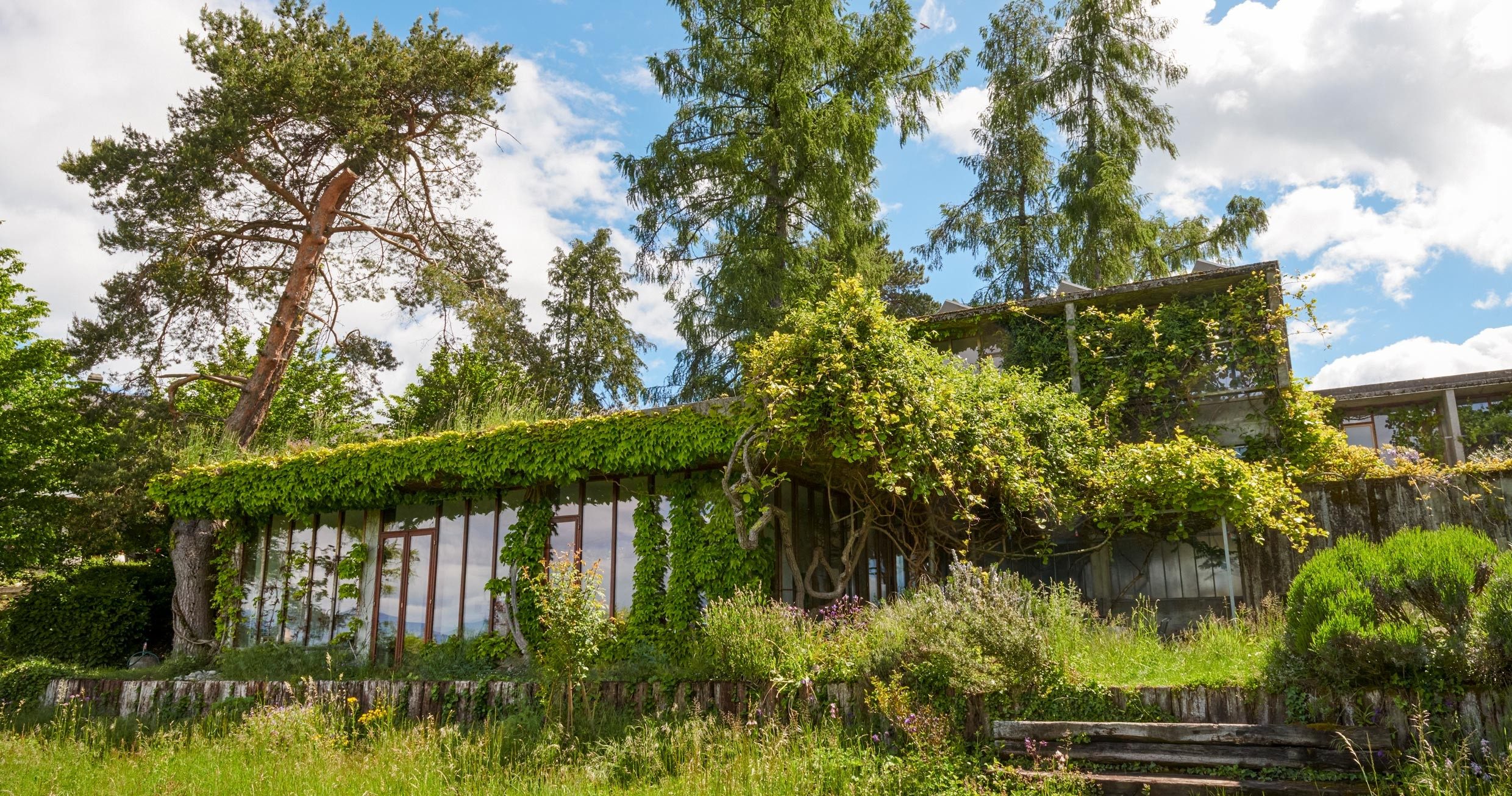 Ein Betonbau mit vielen grossen Fenstern, welcher komplett grün bewachsen ist, sodass man die Fassade kaum mehr sieht.