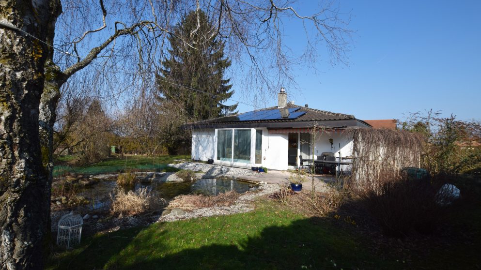 La villa des roses