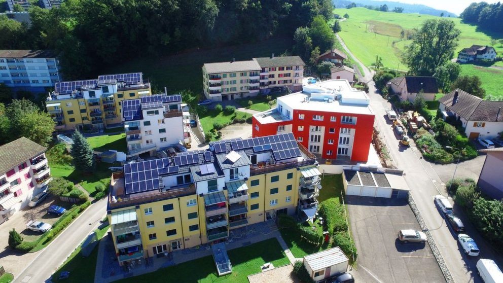 Wald_ZH