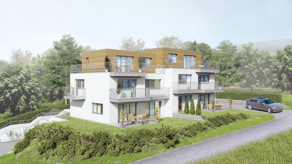 Neubau - Leben auf hohem Niveau 