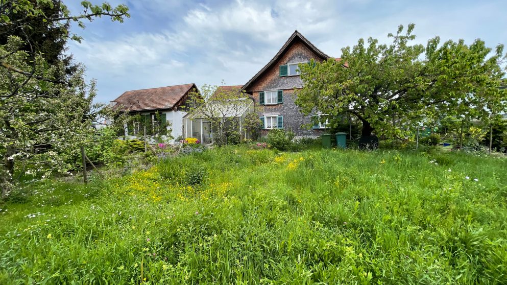 Widnau Bauland_SG