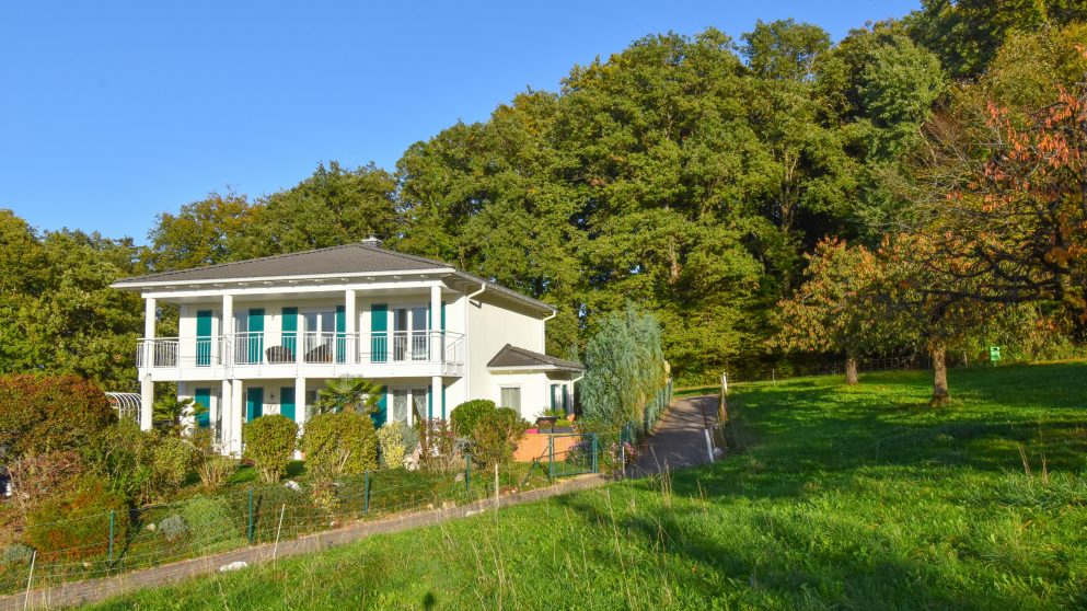 Metzerlen SO