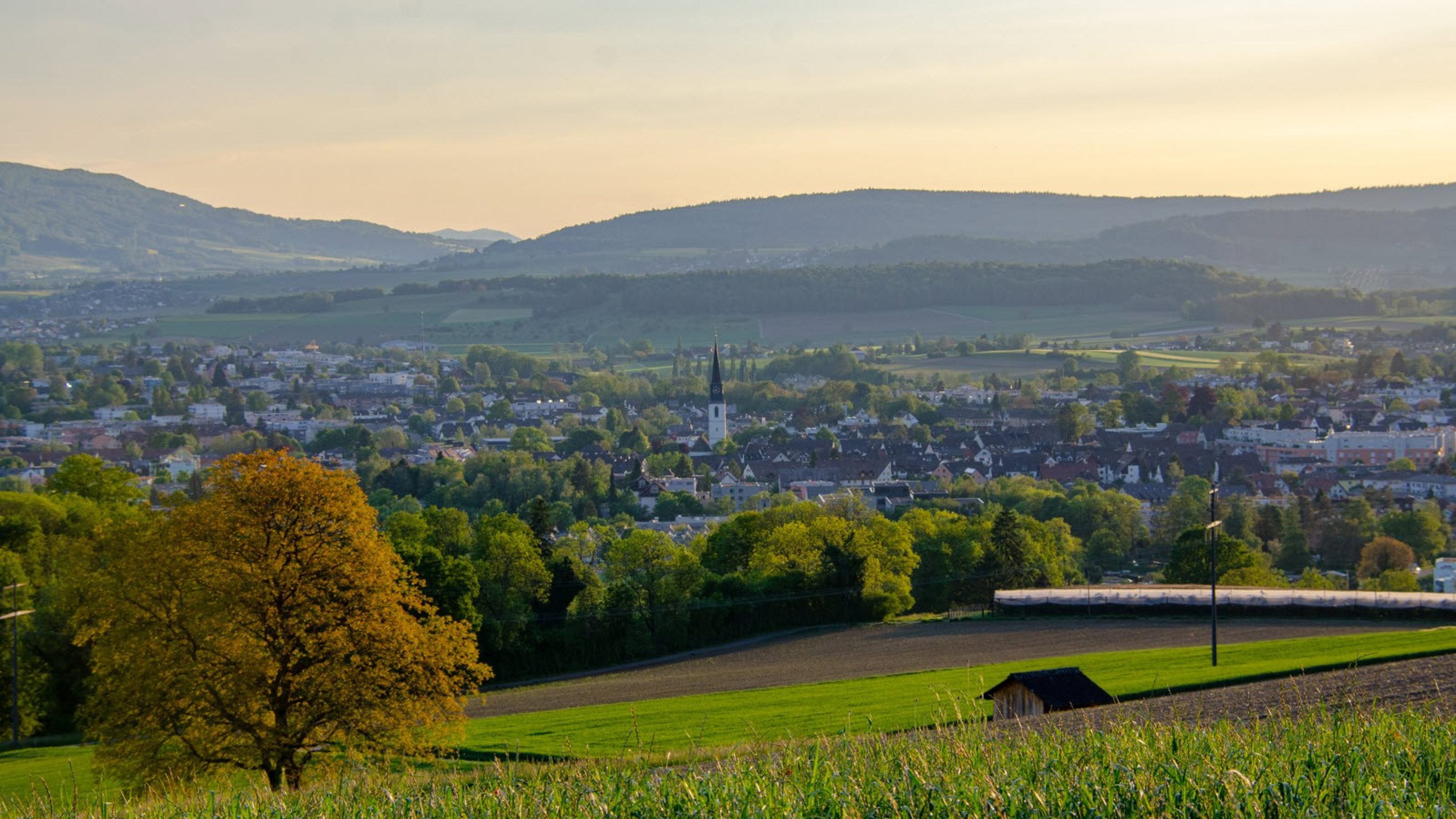 Buelach_ZH