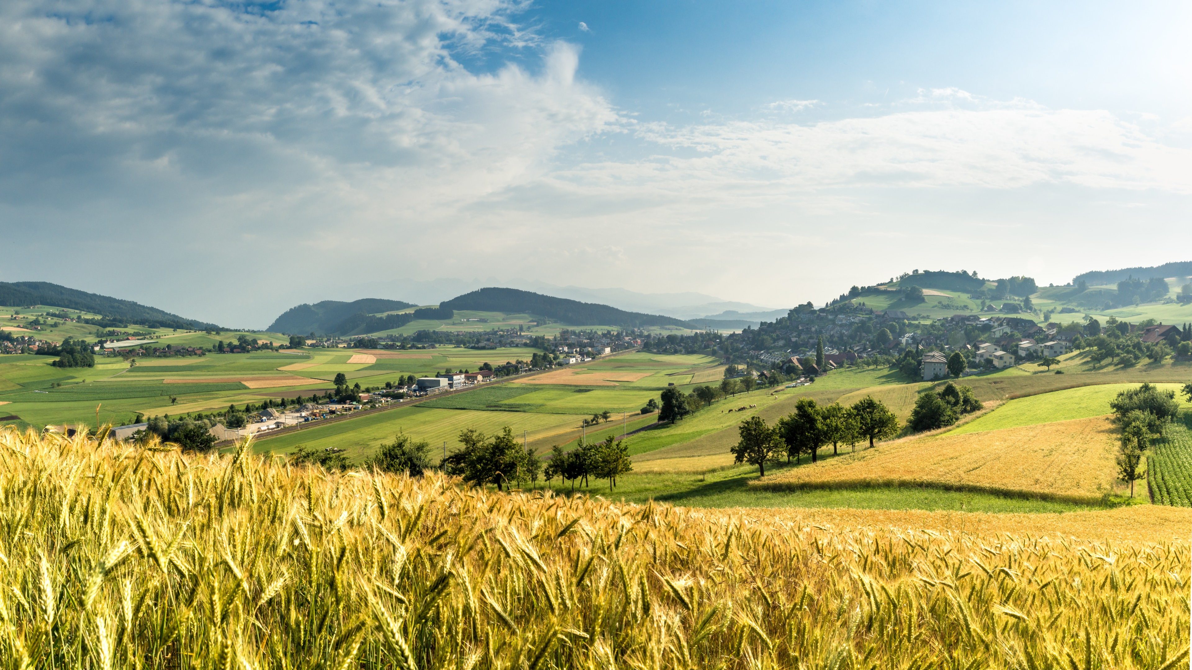 Aussicht auf Konolfingen mit Feld