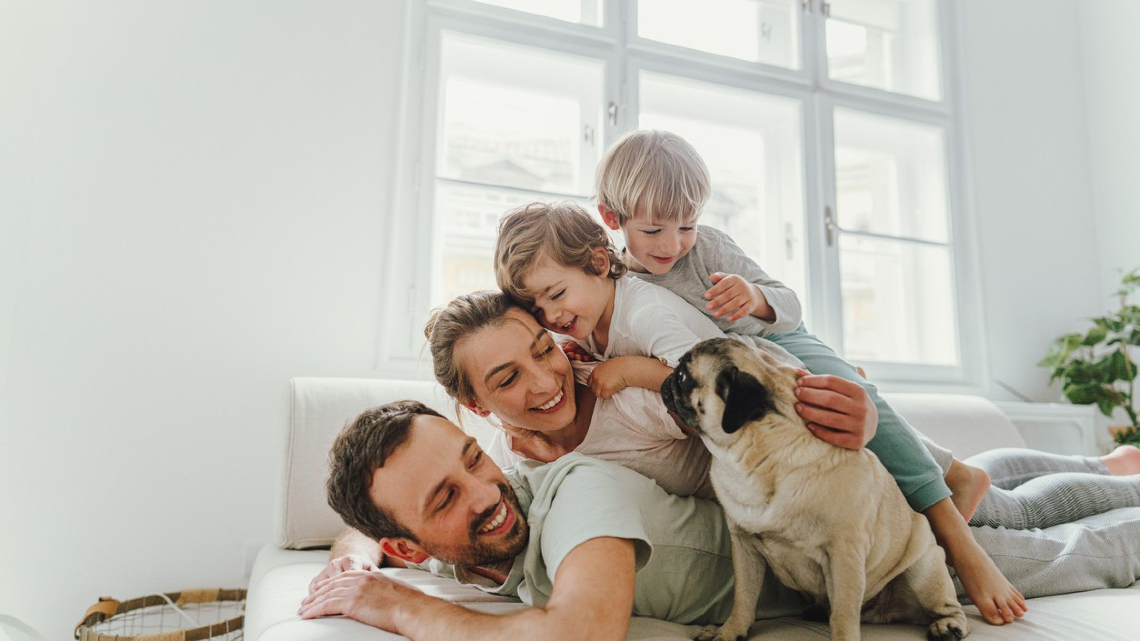 Vater, Mutter und Kinder liegen aufeinandergestapelt auf dem Sofa, daneben sitzt ein Hund