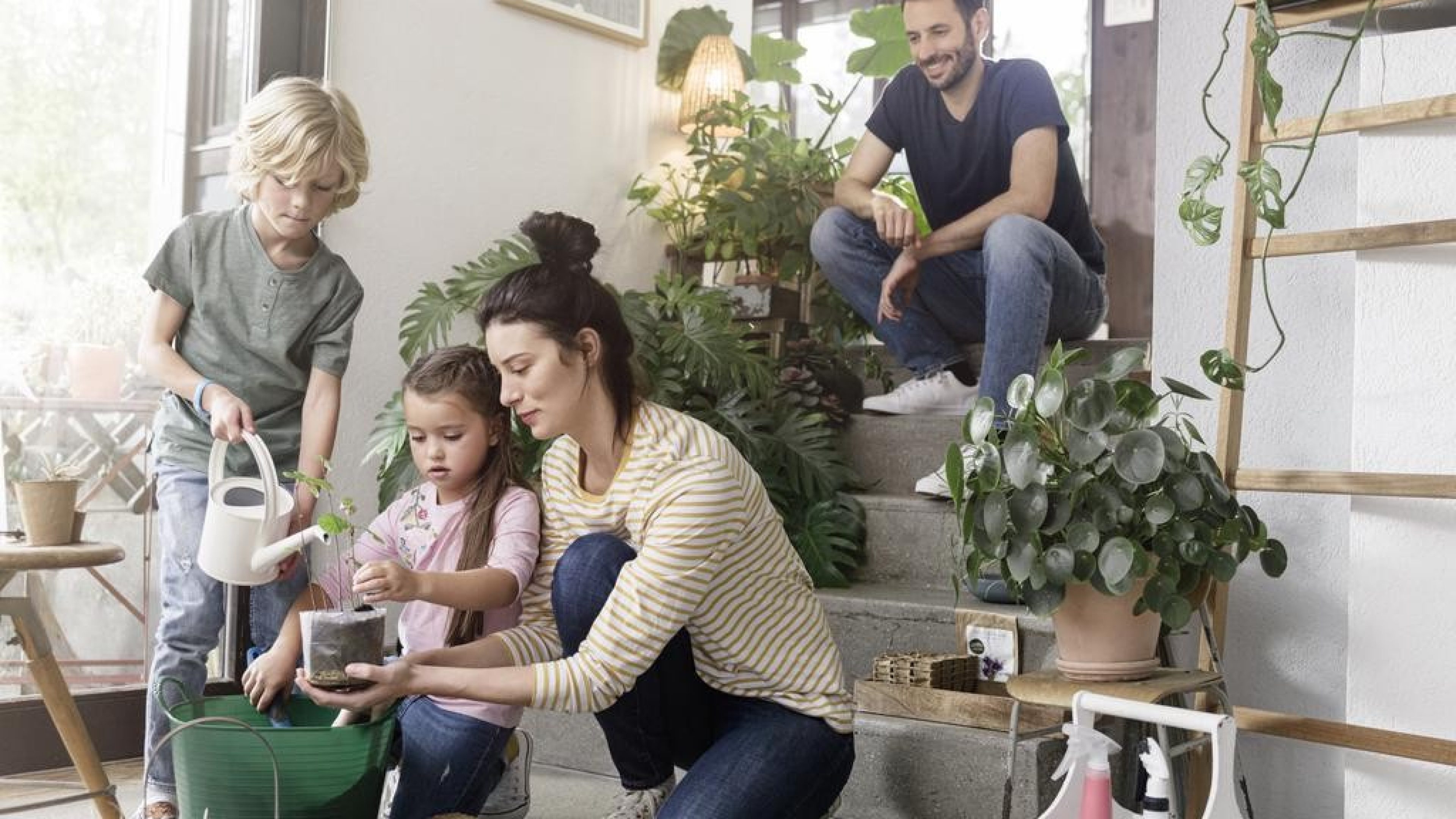 Familie topft Pflanzen im Wohnzimmer um.