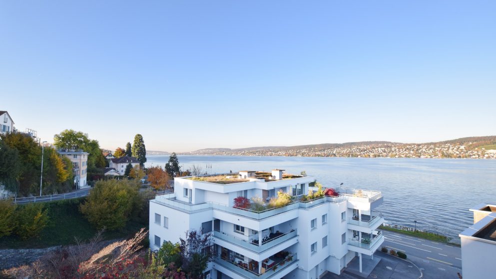 Panoramablick über den schönen Zürichsee