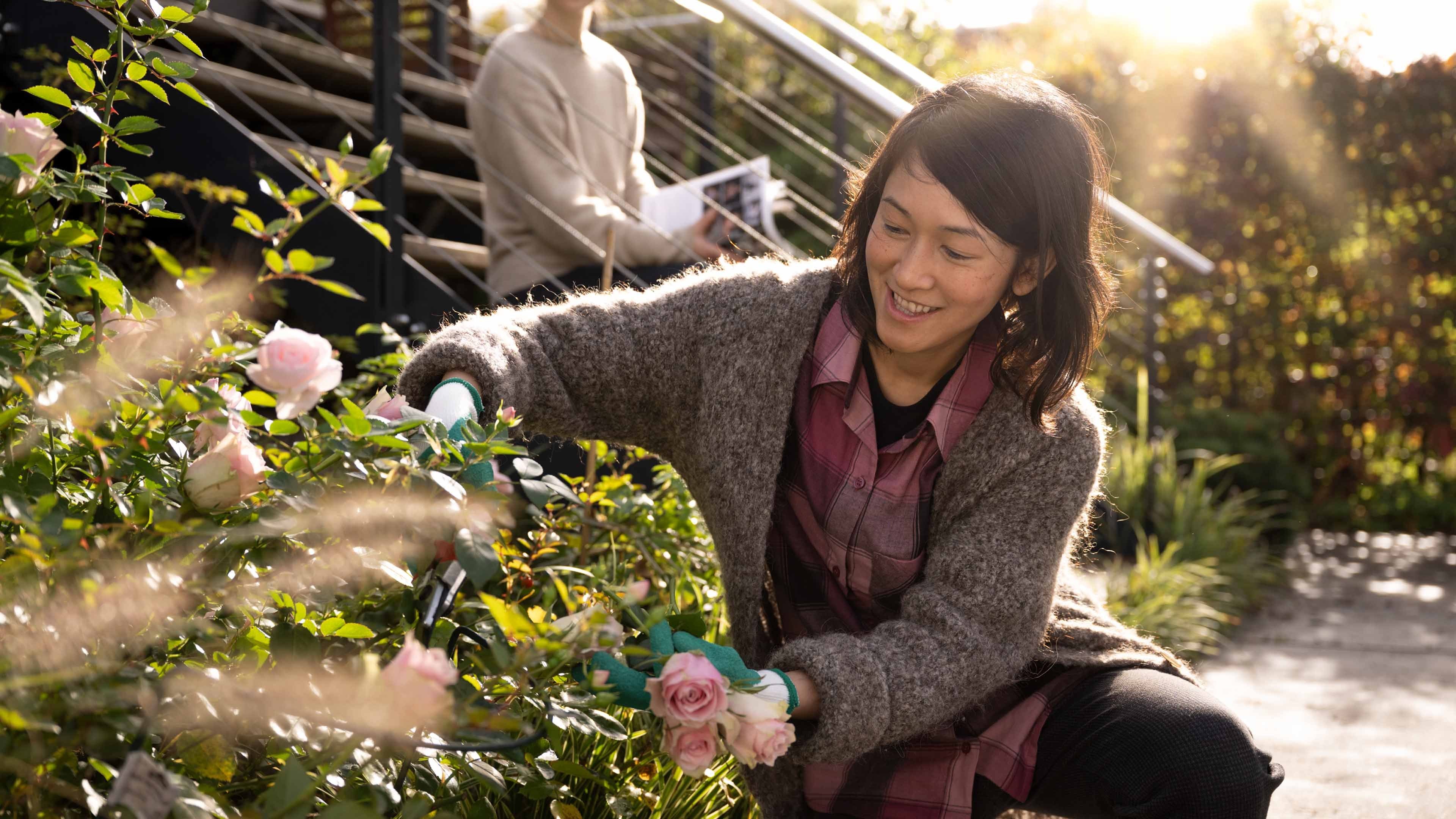 Junge Frau schneidet Rosen im Garten