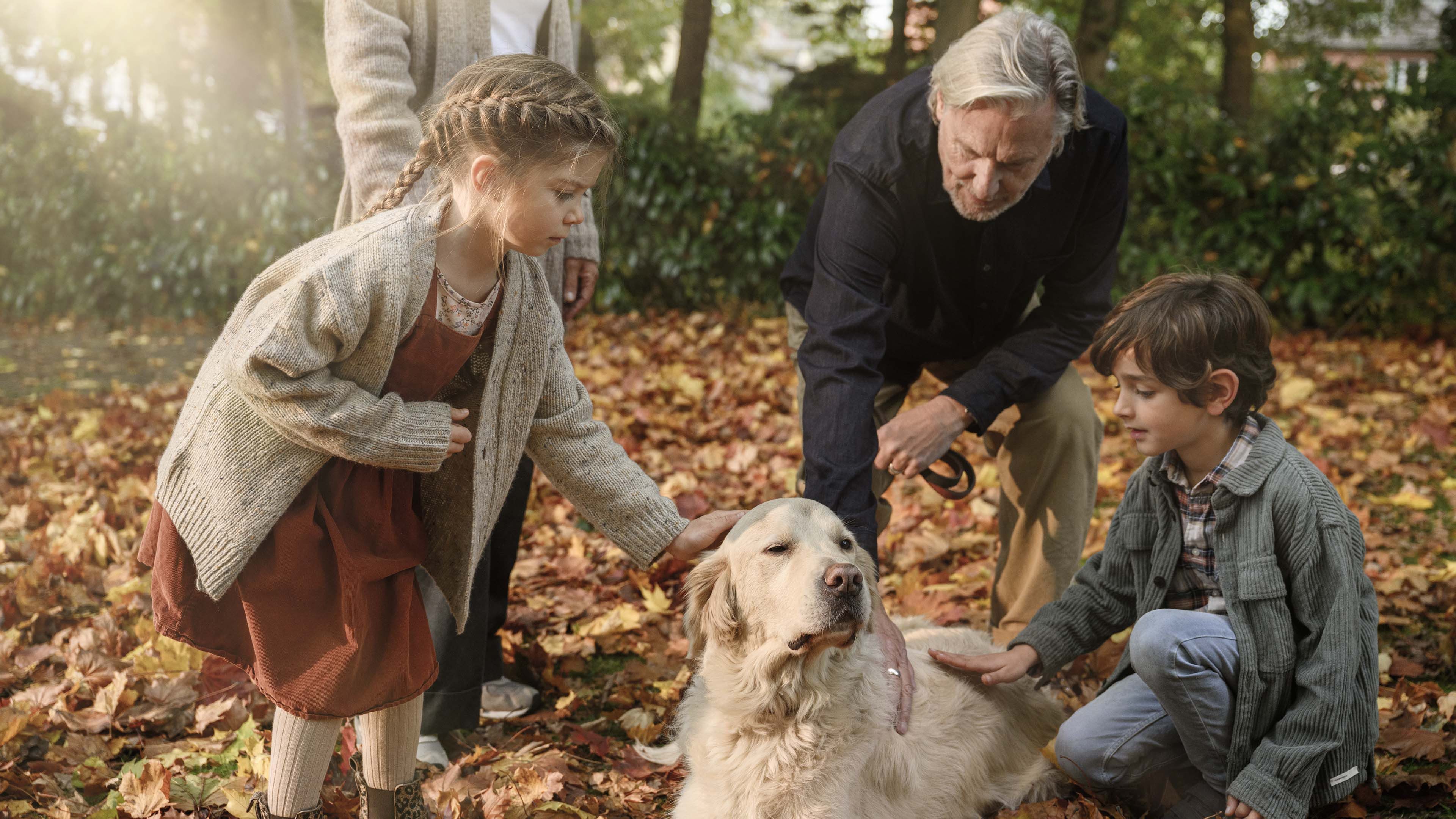 Familie im Herbstpark streichelt Golden Retriever, Laub und Bäume im Hintergrund