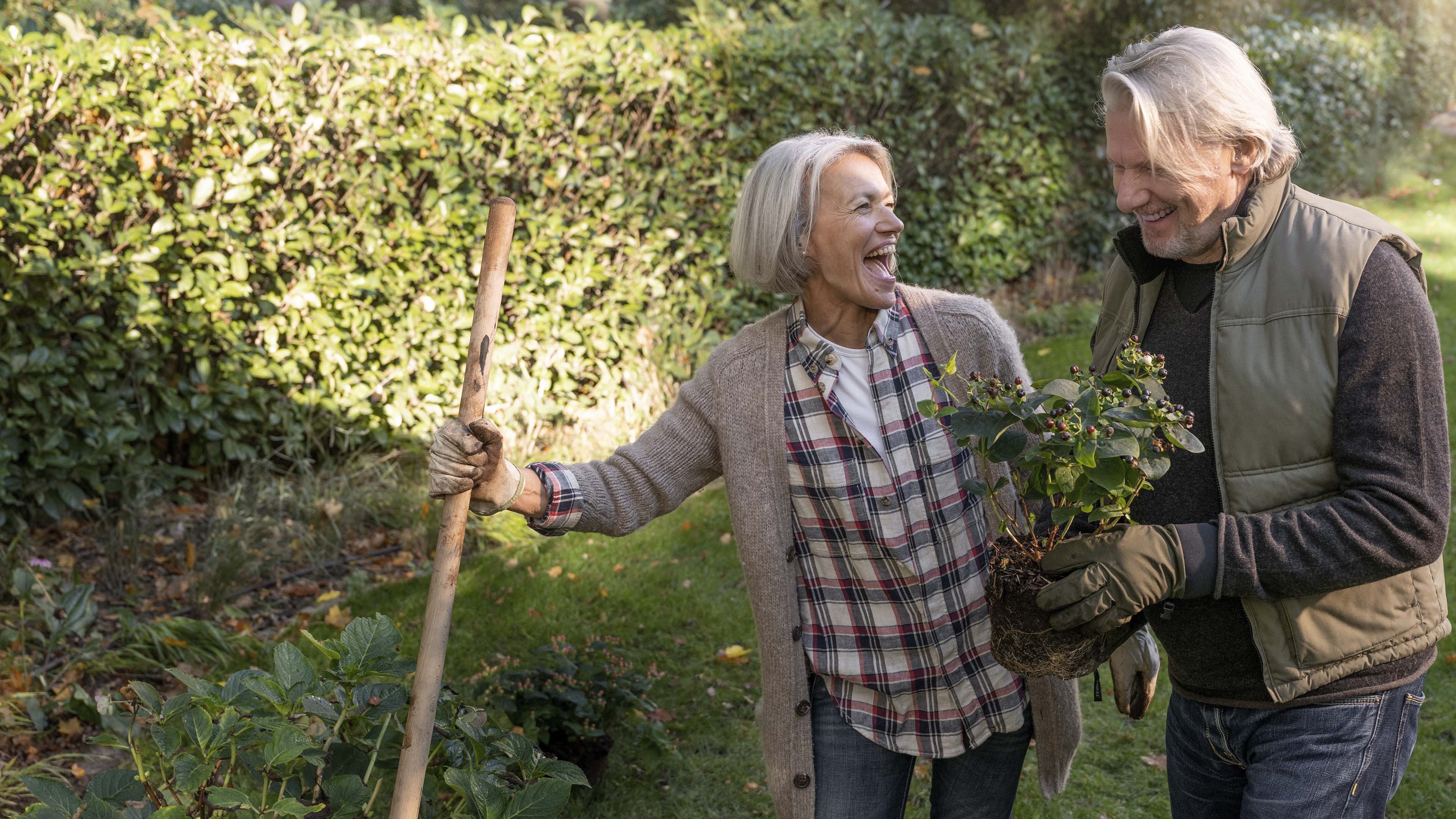 Zwei ältere Personen arbeiten gemeinsam im Garten, Hecke im Hintergrund
