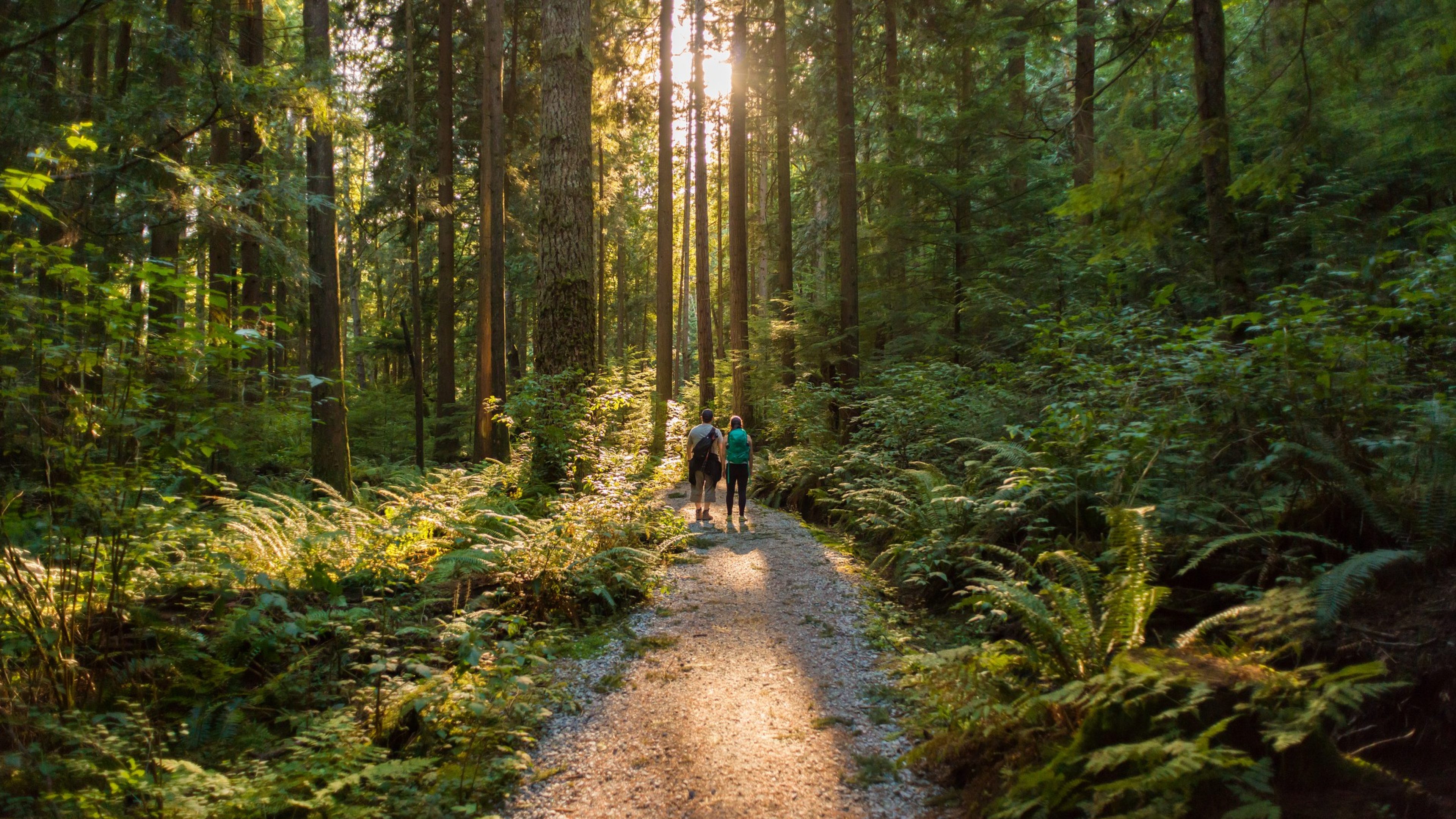 Zwei Menschen in der Natur.