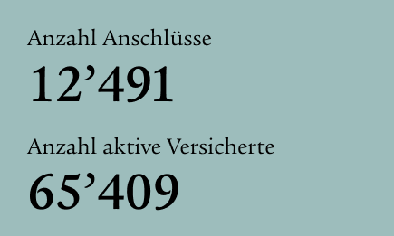 Grafik zeigt Anzahl der Anschlüsse und aktiv Versicherten