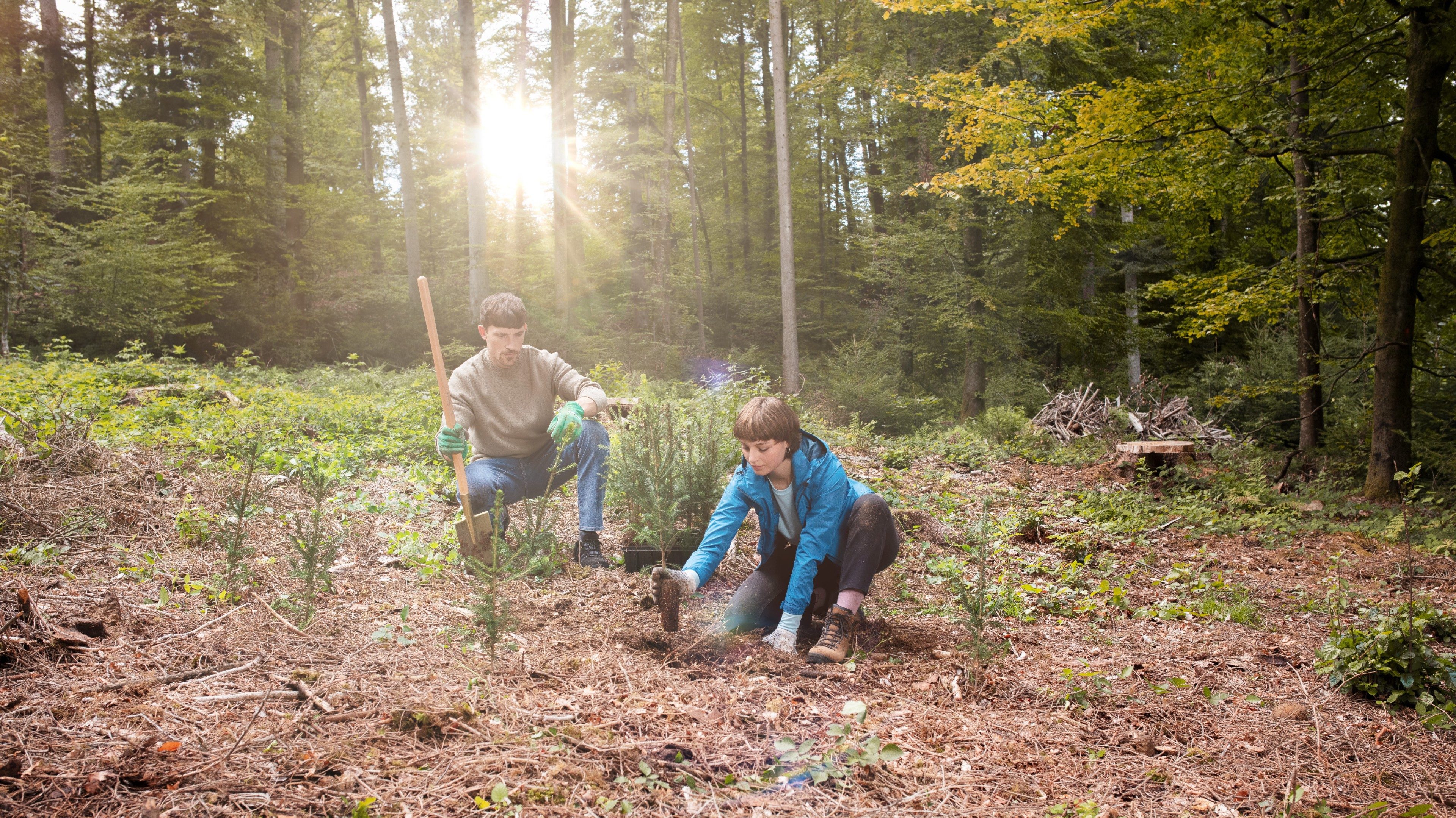 Swisslife_Treeplanting253_Gegenlicht