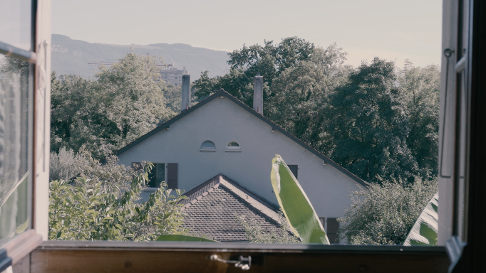 View from the window of a house and trees