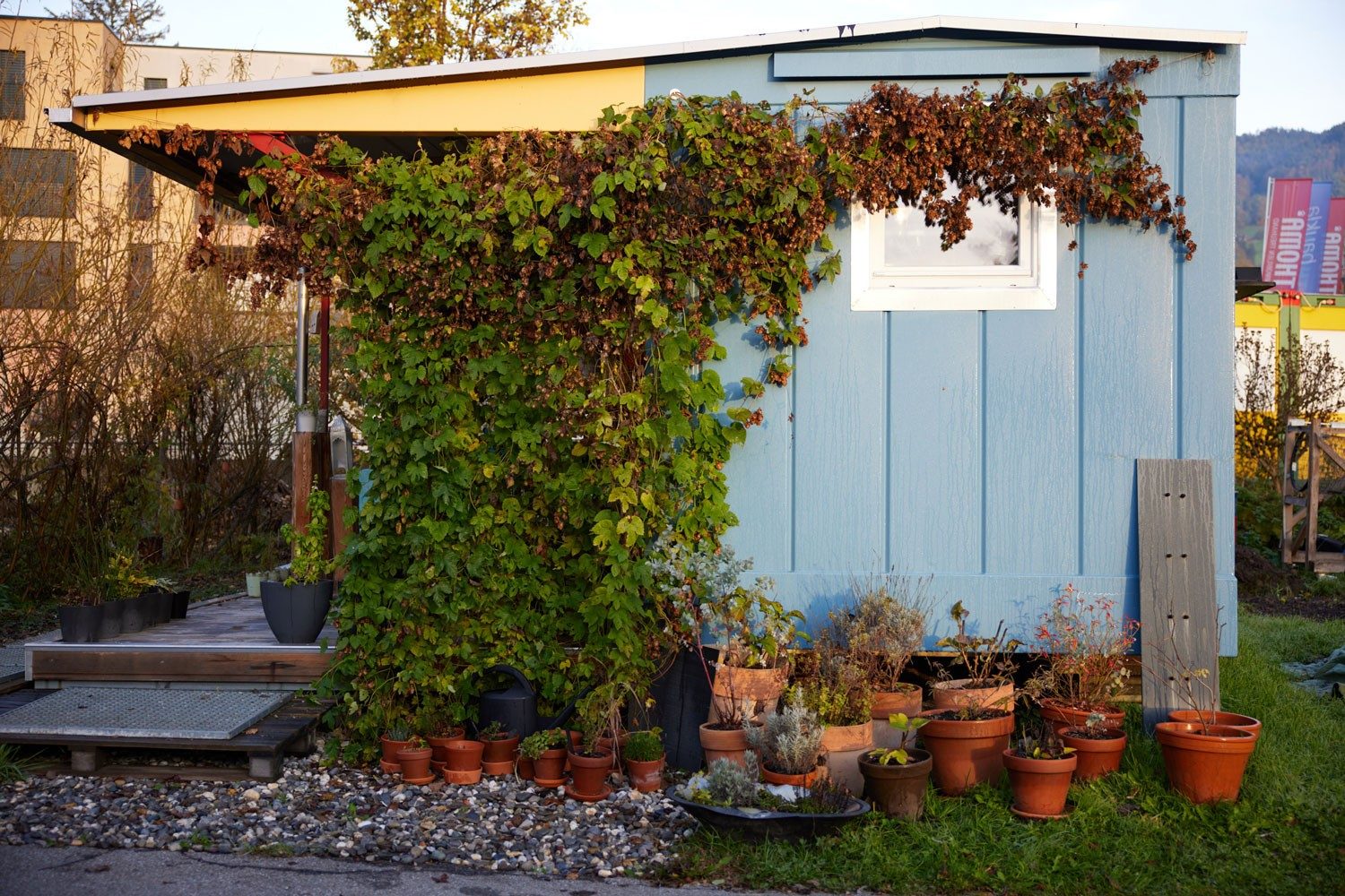 A shipping container house with plants growing on it