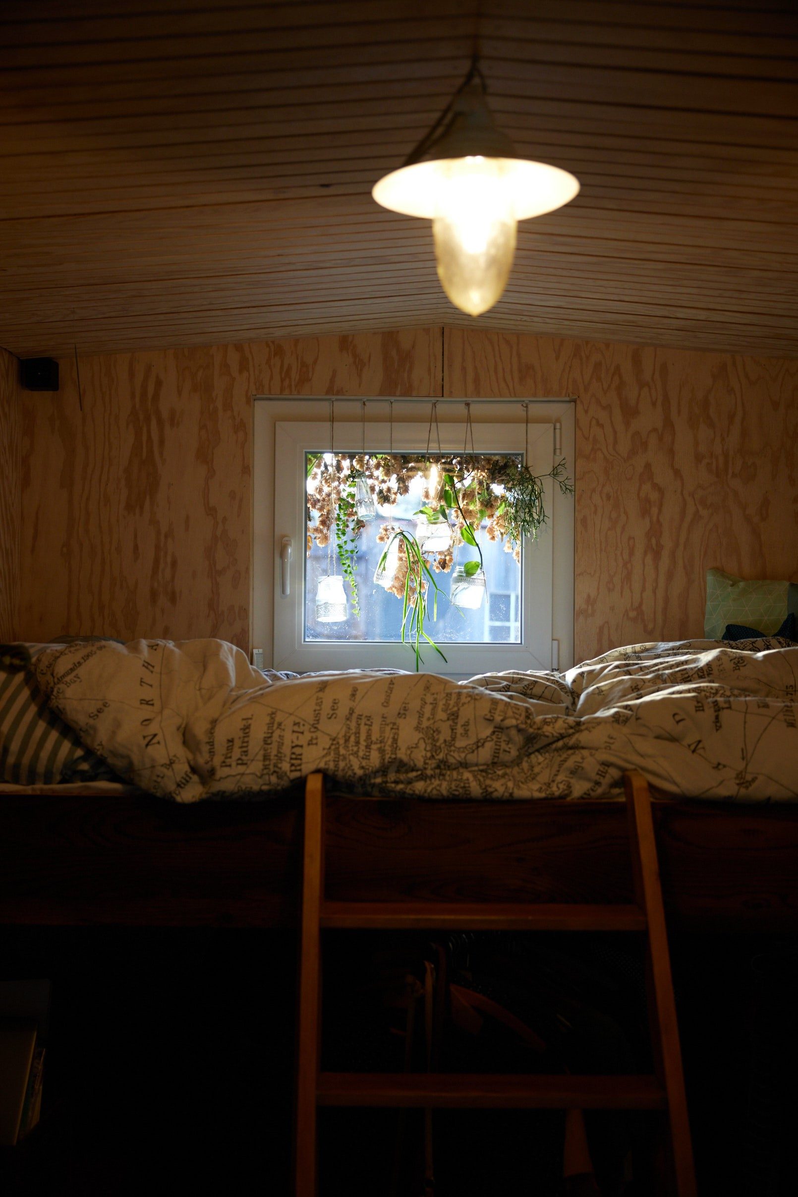 A single bunk bed with plants hanging from a window behind it