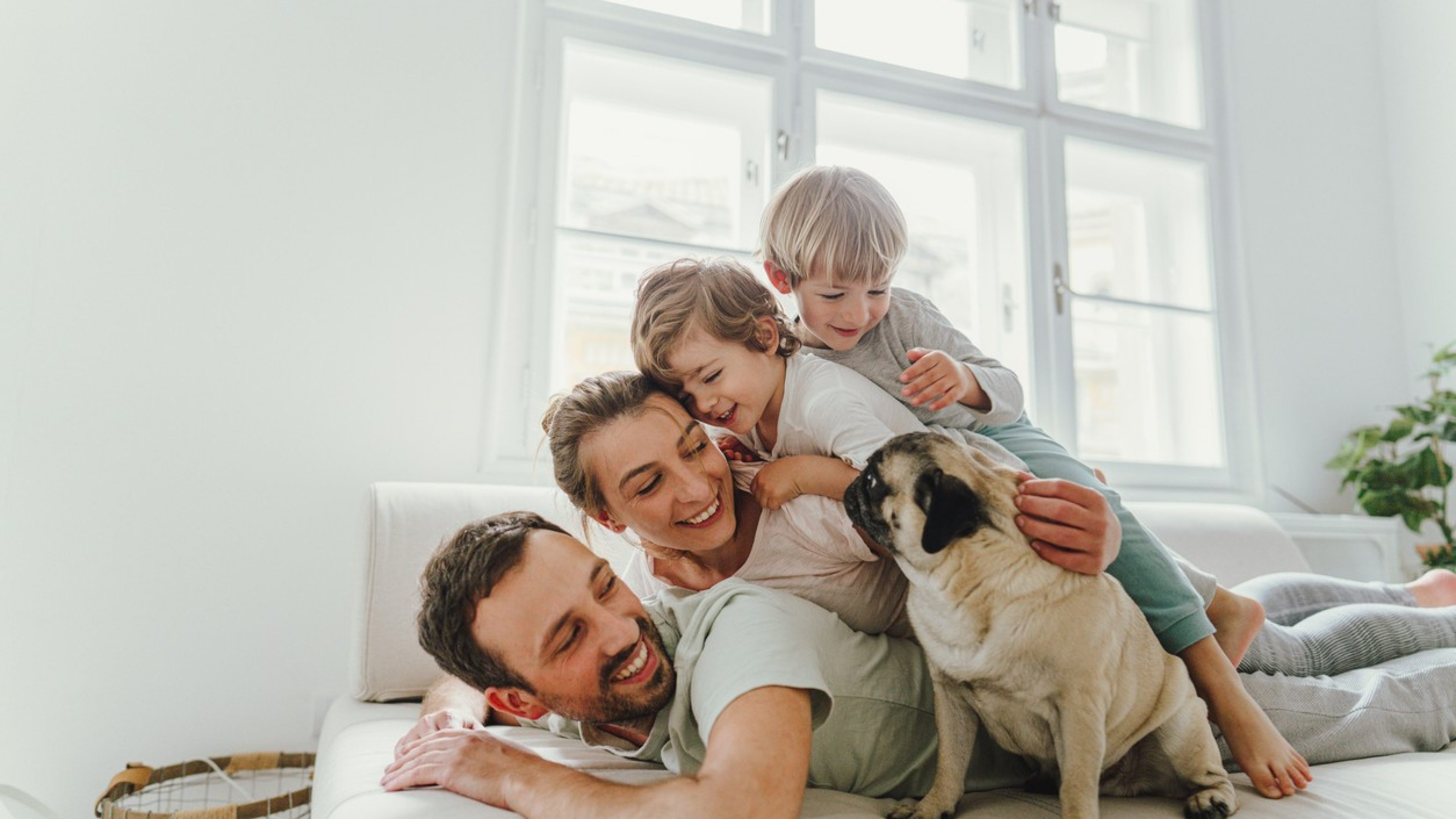 Father, mother and children are lying on top of each other on the sofa, the dog sits next to them