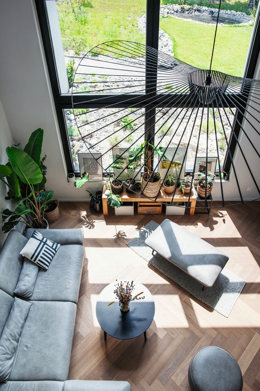 A living room with a grey sofa, wooden floor and many plants by a window.