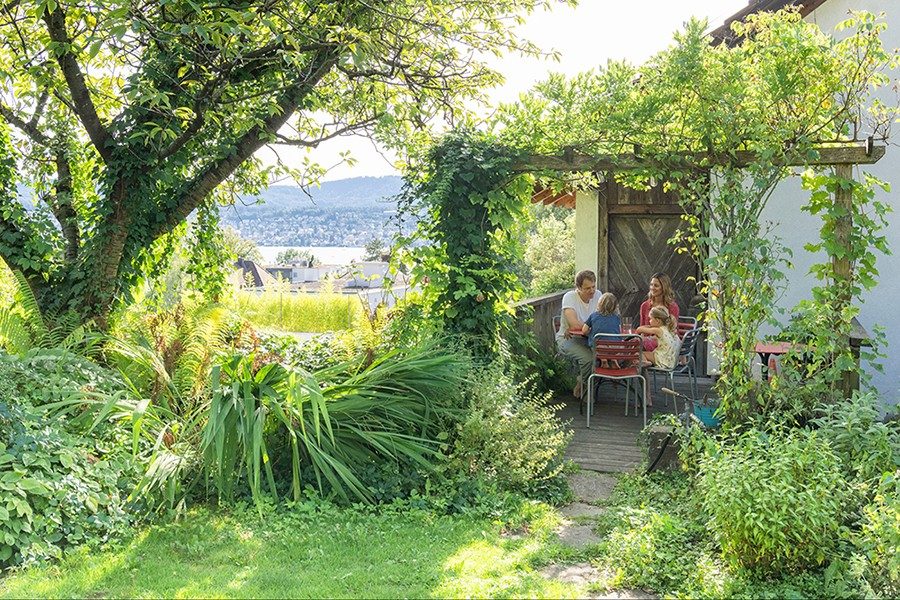 The outside seating area has a pergola covered in green plants.