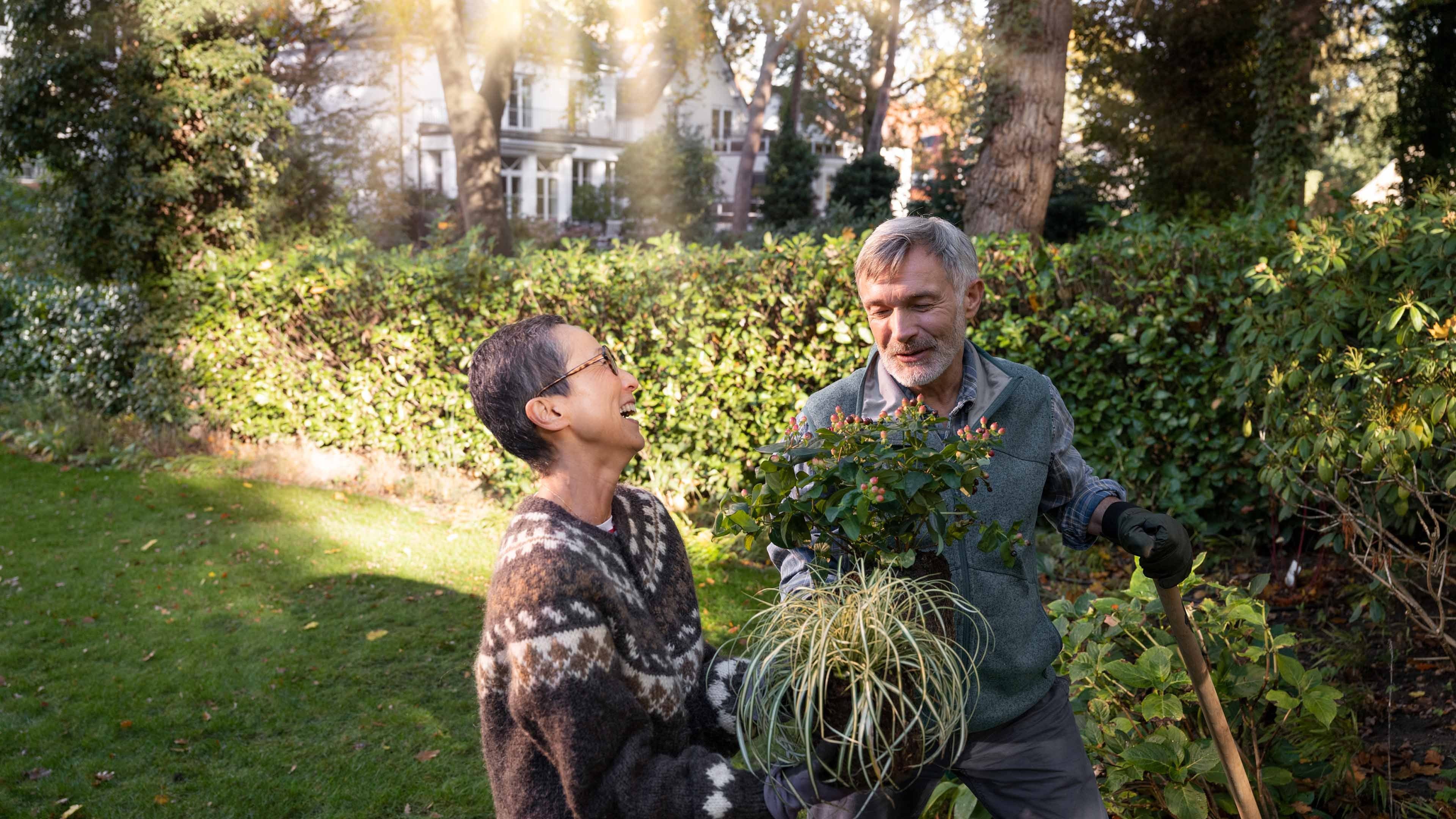 An older man and woman gardening in a large garden