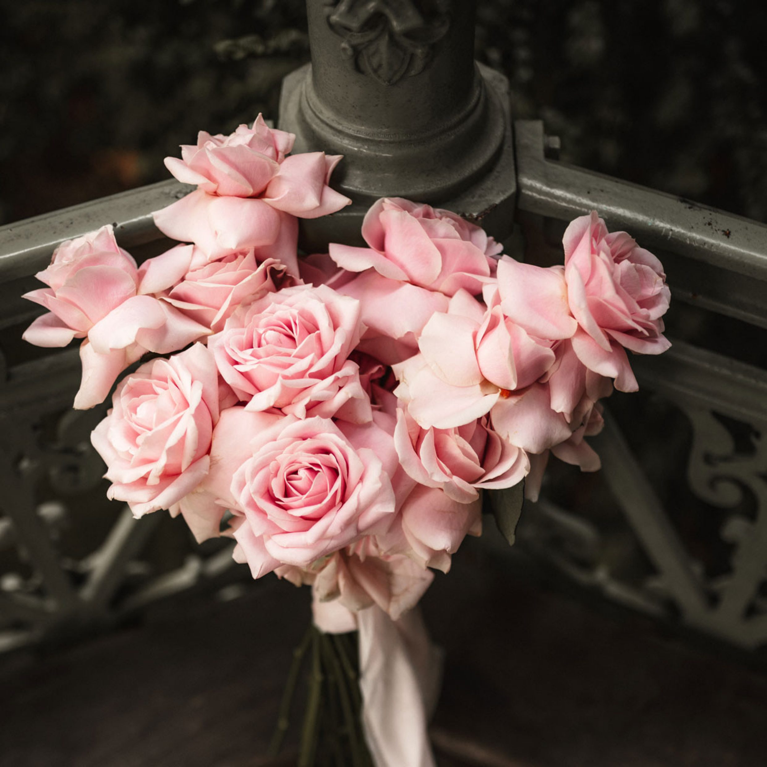 A bridal bouquet of delicate pink roses lies on an iron railing. The flowers are fully in bloom. The close-up brings out the details of the rose petals.