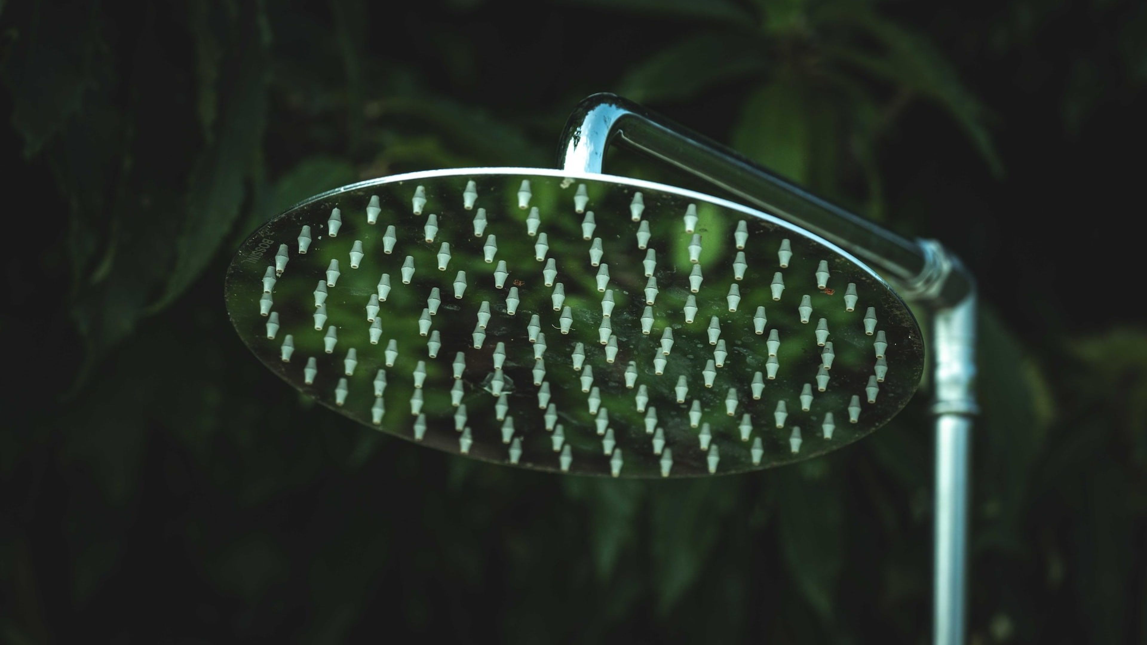 Shower head of a rain shower