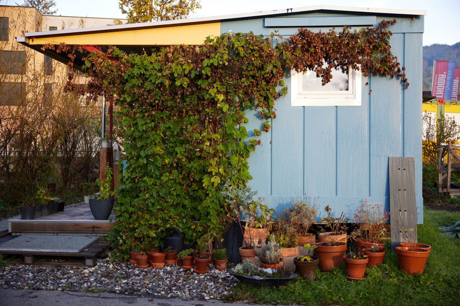 Janine Klingenstein in ihrem Tiny House in Altstätten SG. Januar 2022. Foto: Mattias Nutt