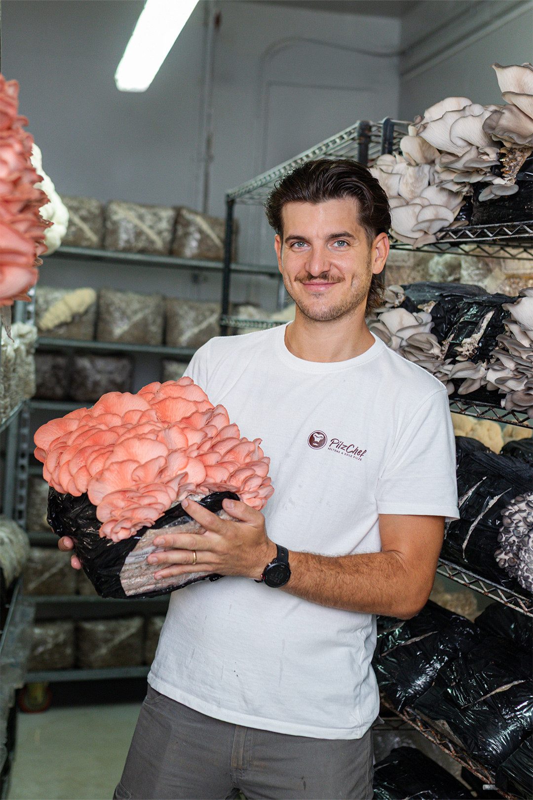 Lorenzo Falcone tient dans ses mains un grand pleurote Sakura.