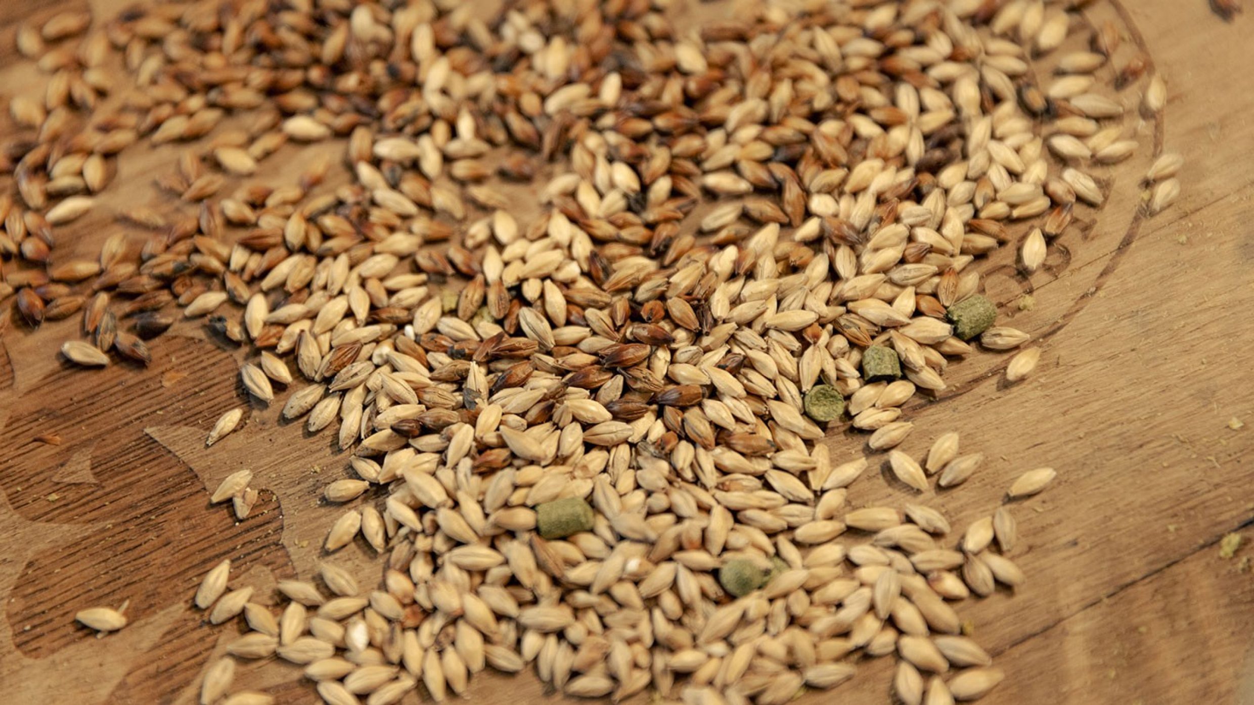 Divers malts clairs et torréfiés sont, avec l’eau, la principale matière première dans la fabrication de la bière. Le bon mélange est le secret du maître brasseur.