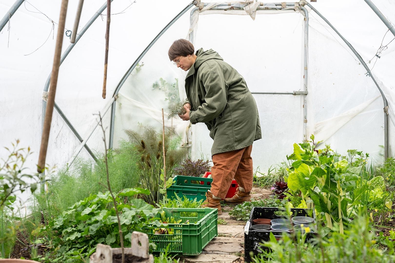 Une femme avec des lunettes cueille des légumes dans son jardin