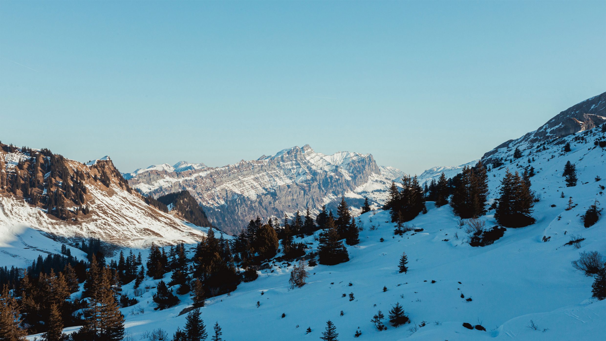 Vaste paysage alpin enneigé avec des sapins et une vue dégagée sur les sommets environnants dans la région de Spilau.