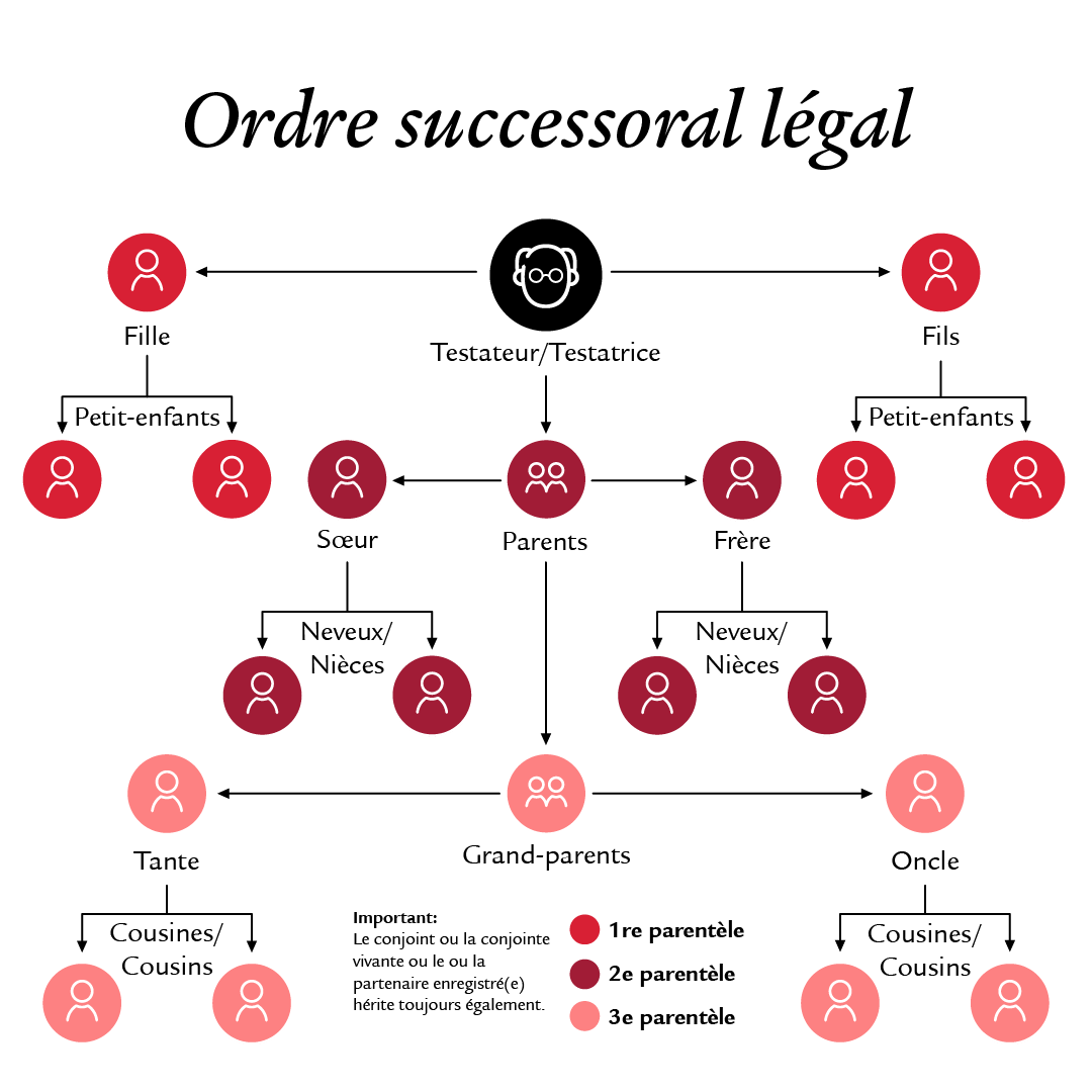 Un schéma de l’ordre successoral légal est représenté sous la forme d’un arbre généalogique clair. Le titre «Ordre successoral légal» figure au-dessus du schéma. Au centre de l’illustration se trouve le testateur ou la testatrice. Ses relations familiales sont représentées dans plusieurs directions. Chaque personne est représentée par un symbole circulaire dont la couleur varie selon le degré de parenté. Une légende figurant dans la partie inférieure explique la répartition des couleurs entre la première, la deuxième et la troisième parentèle et indique ainsi l’ordre légal de succession.