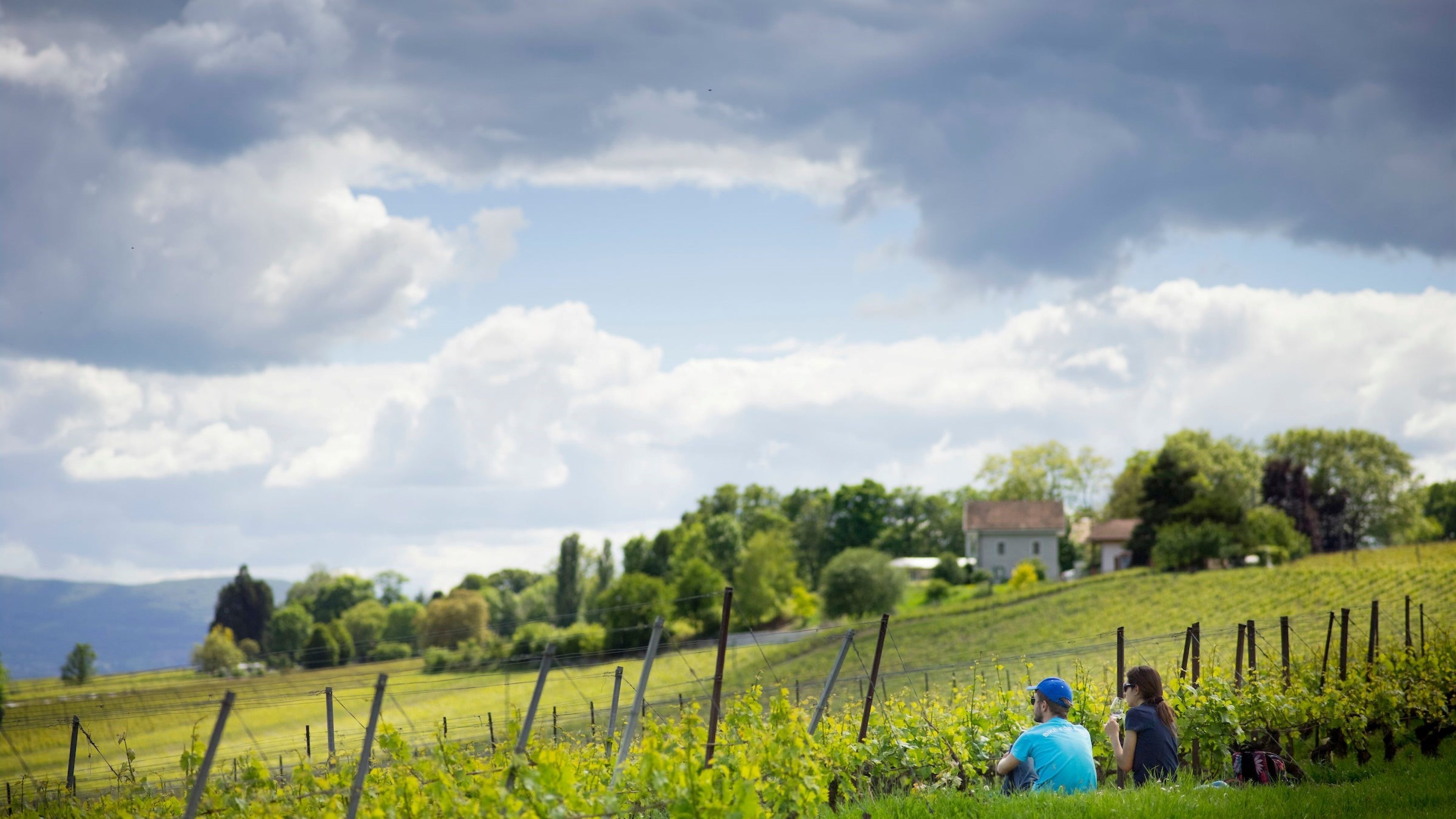 Deux personnes assises au pied du vignoble