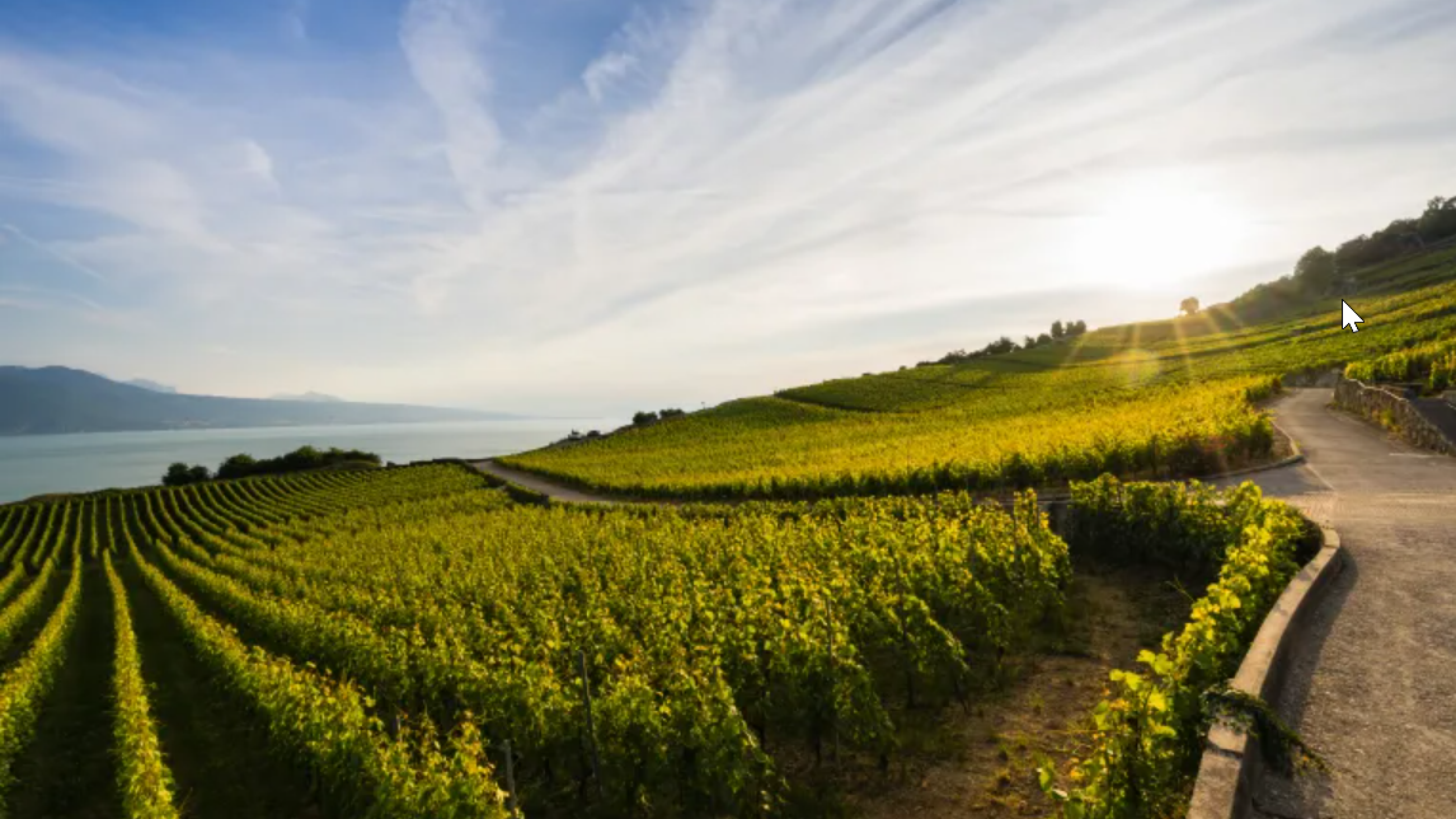 Deux personnes assises au pied du vignoble