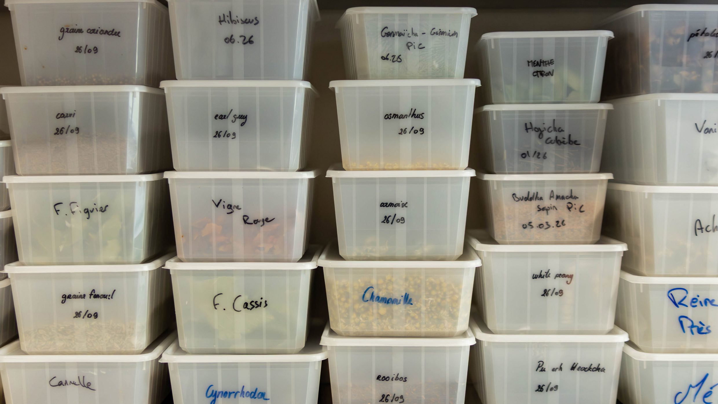 Numerose scatole di petali sugli scaffali del laboratorio di mixologia.