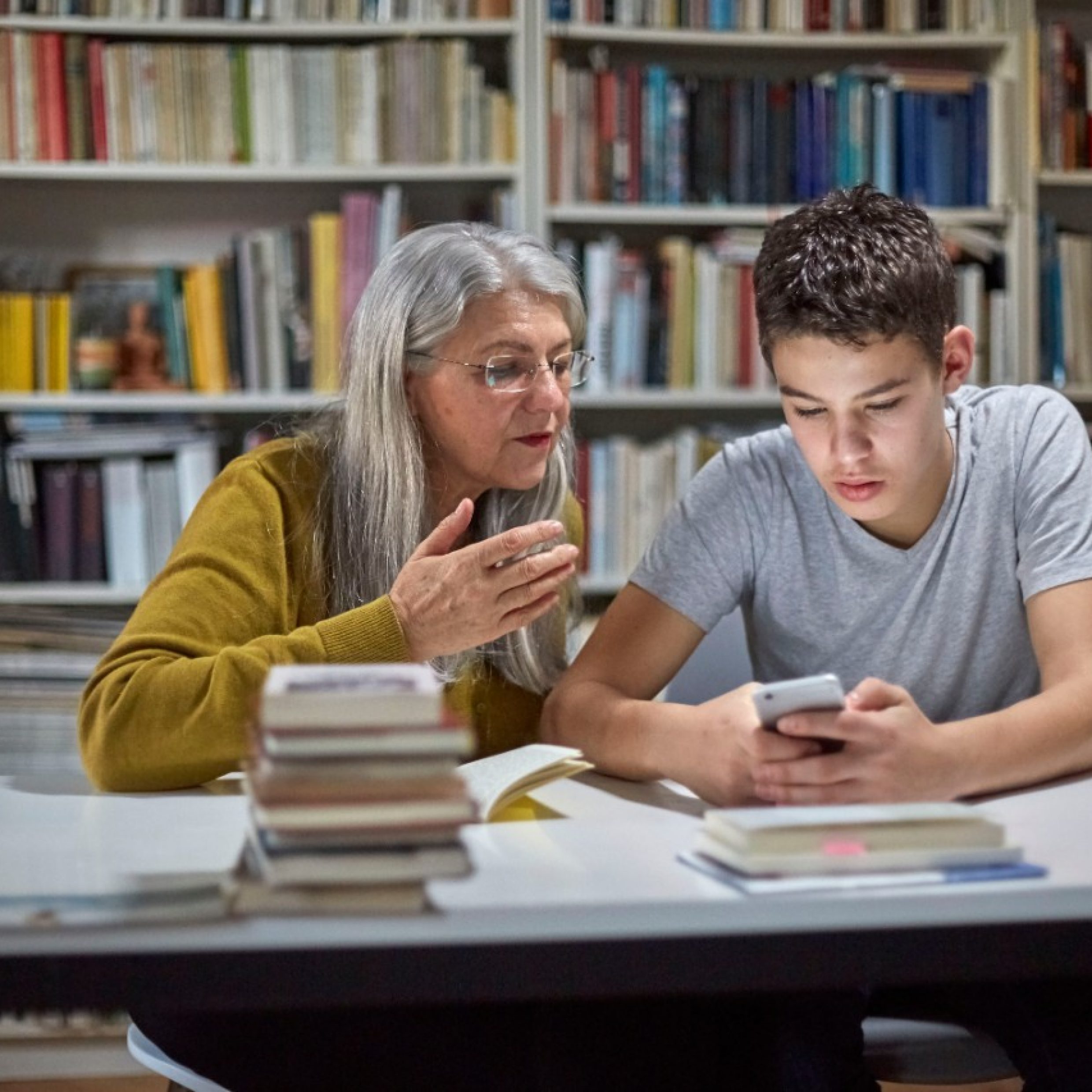 Frau 60 plus, mit ihrem Enkel (16) am Laptop, vor Bücherwand. Luzern, Schweiz