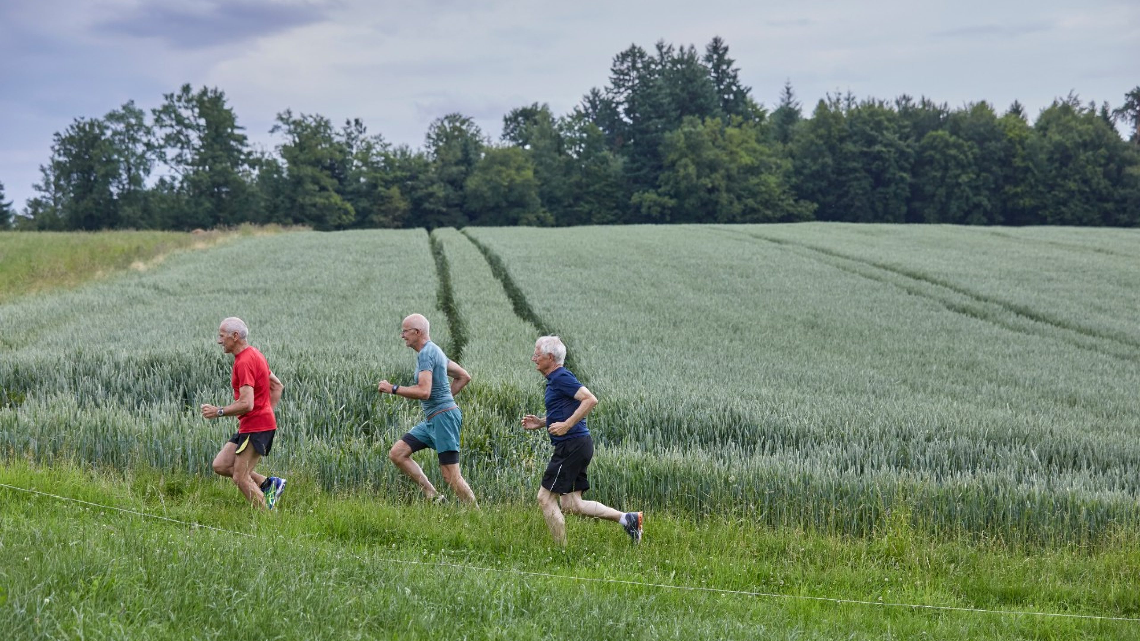 Drei Mitglieder des Lauftreffs Luzern beim Laufen beim Sedel, Luzern,