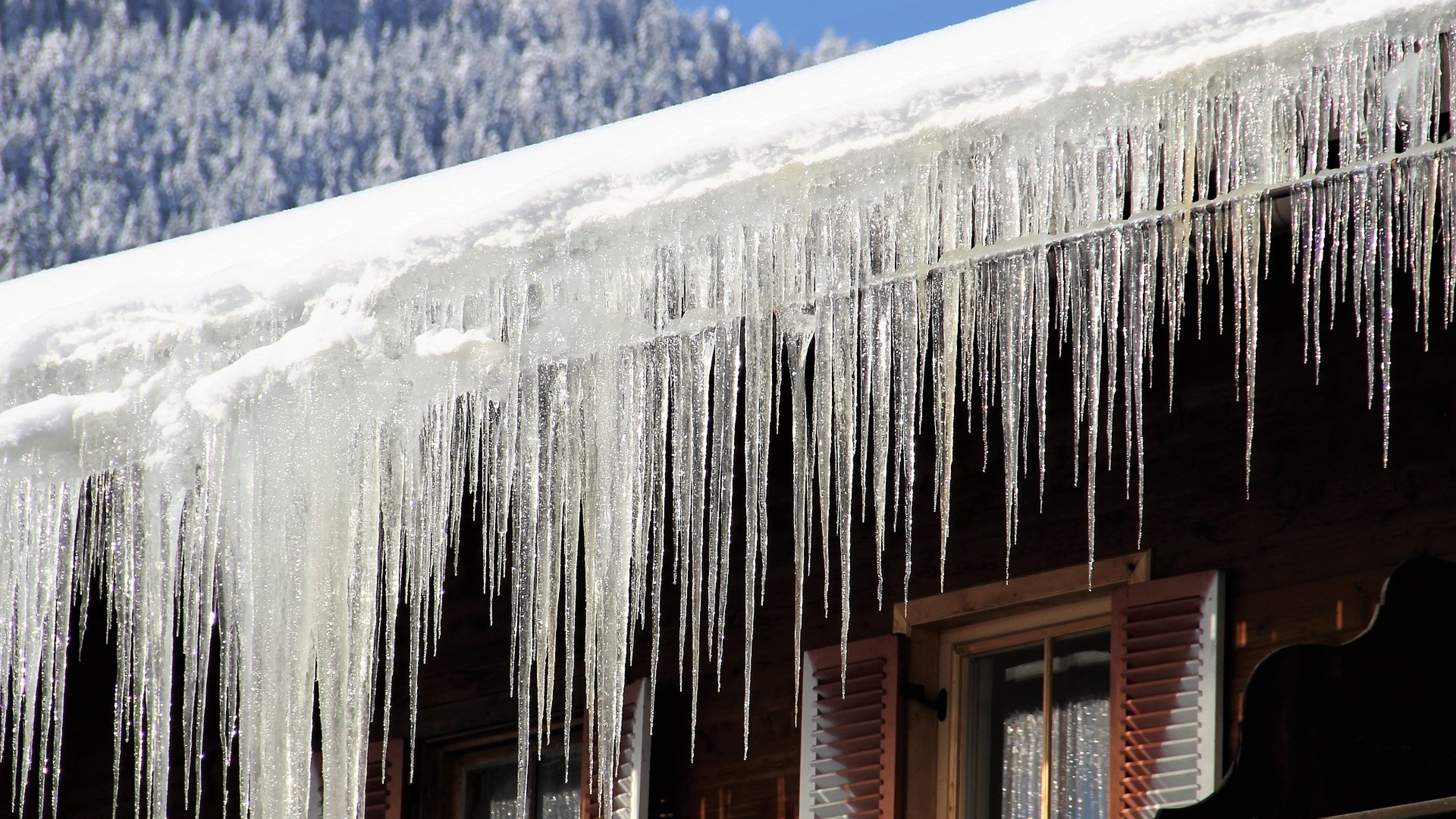 Blog Eiszapfen