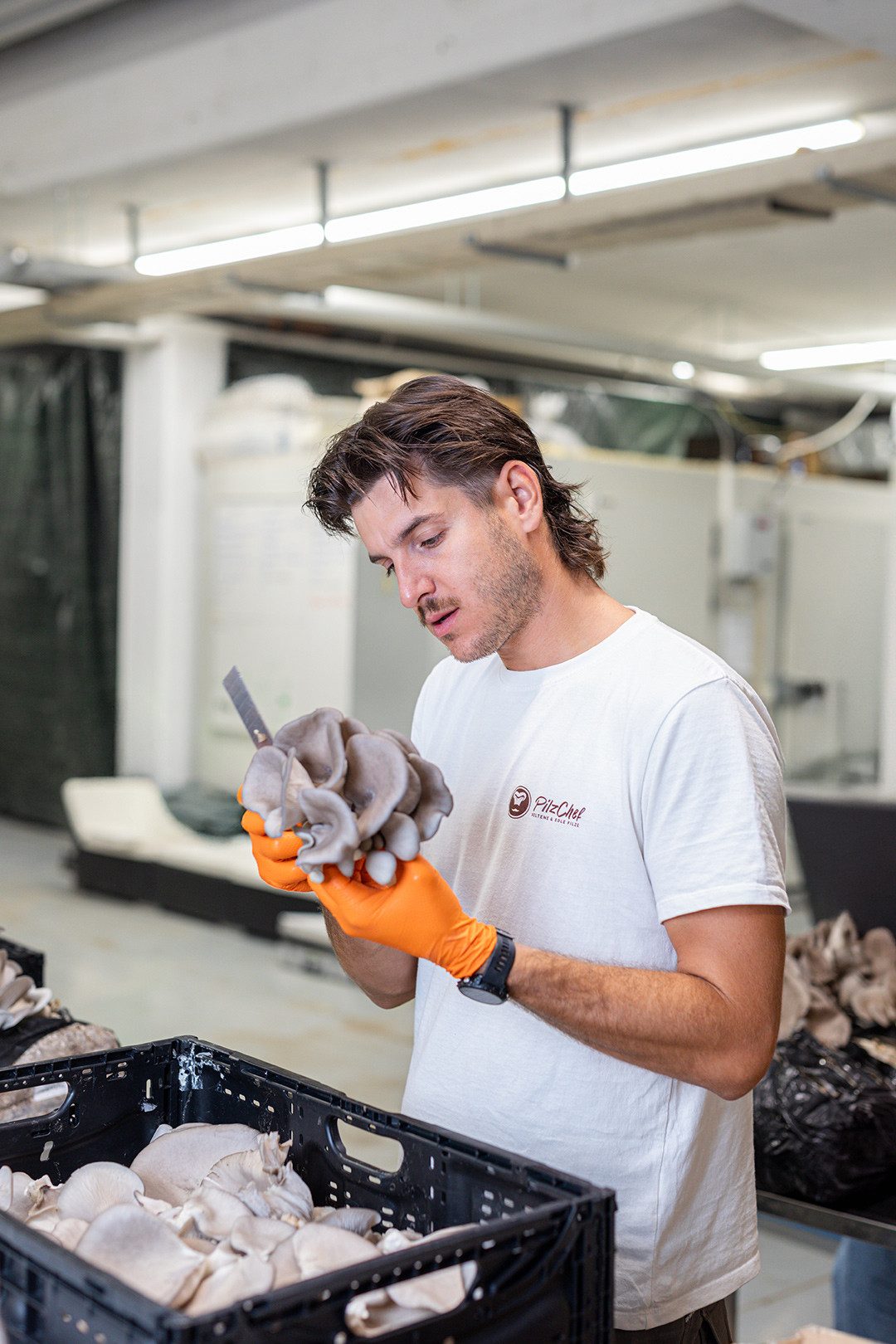 Lorenzo Falcone pulisce e prepara i funghi con un taglierino.