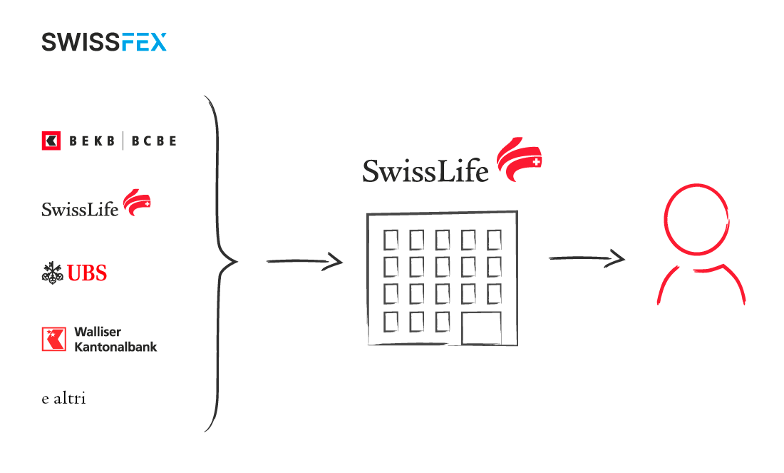 SwissFEX-Partner_IT