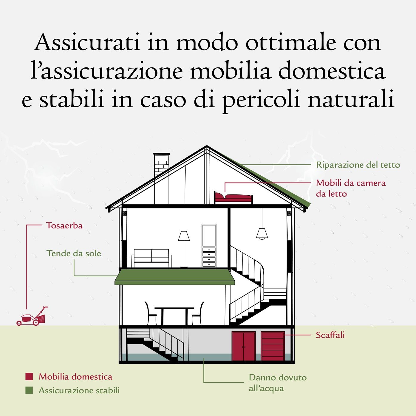 Infografica