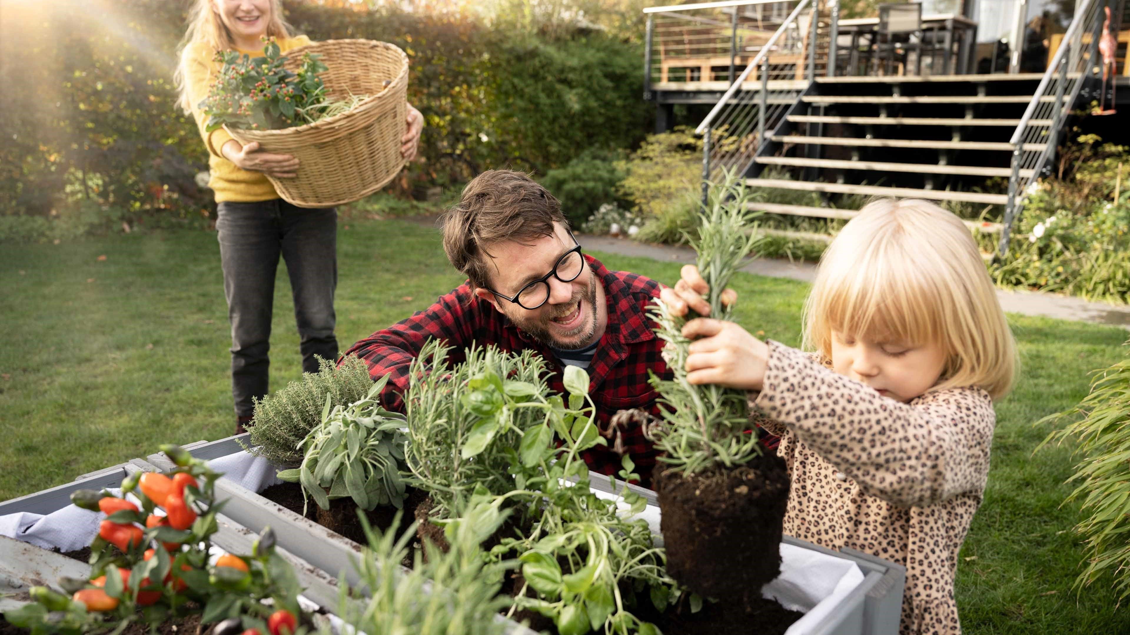 Padre e figlia piantano erbe aromatiche