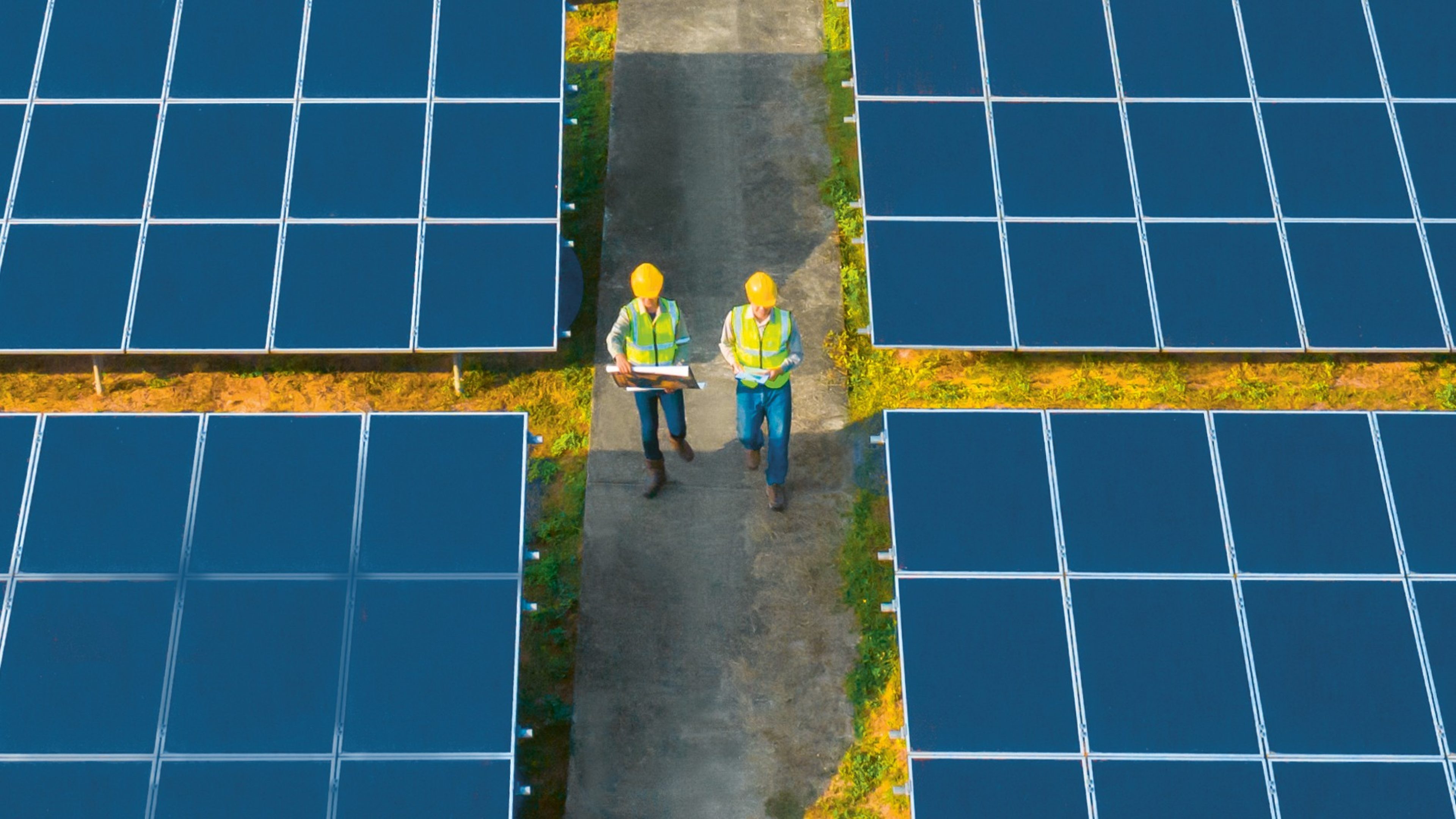 Aerial view of engineer or worker, people, with solar panels or solar cells on the roof in farm. Power plant with green field, renewable energy source in Thailand. Eco technology for electric power.