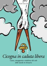 Cicogna in caduta libera 